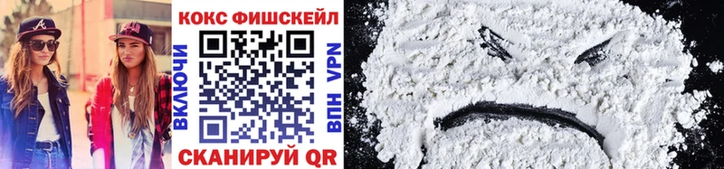 Cocaine FishScale  Купить  Кувшиново 