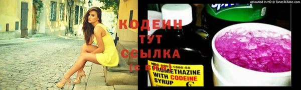 гидра Коряжма