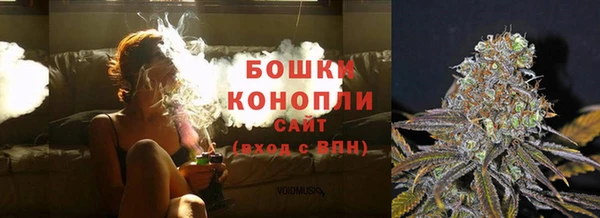 гидра Коряжма