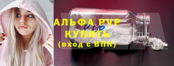 гидра Коряжма