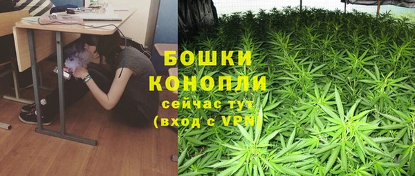 дживик Корсаков