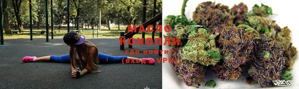 дживик Корсаков