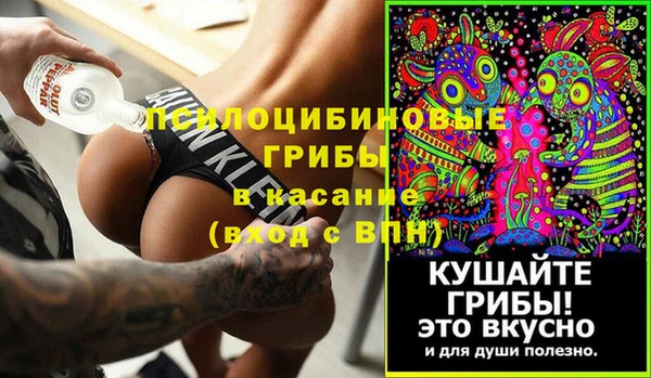 дживик Корсаков