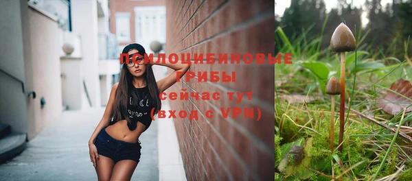 дживик Корсаков