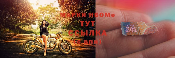 гидра Коряжма