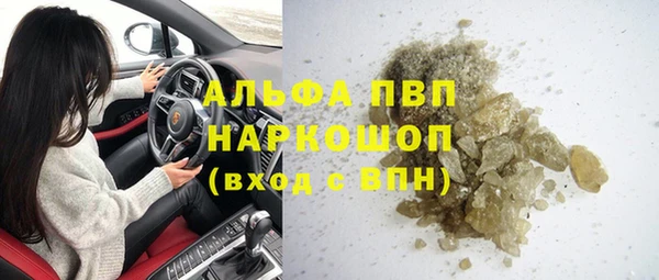 гидра Коряжма